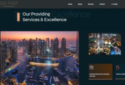 go-fast-businessmen-service